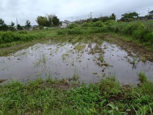 台風2号　2　230604